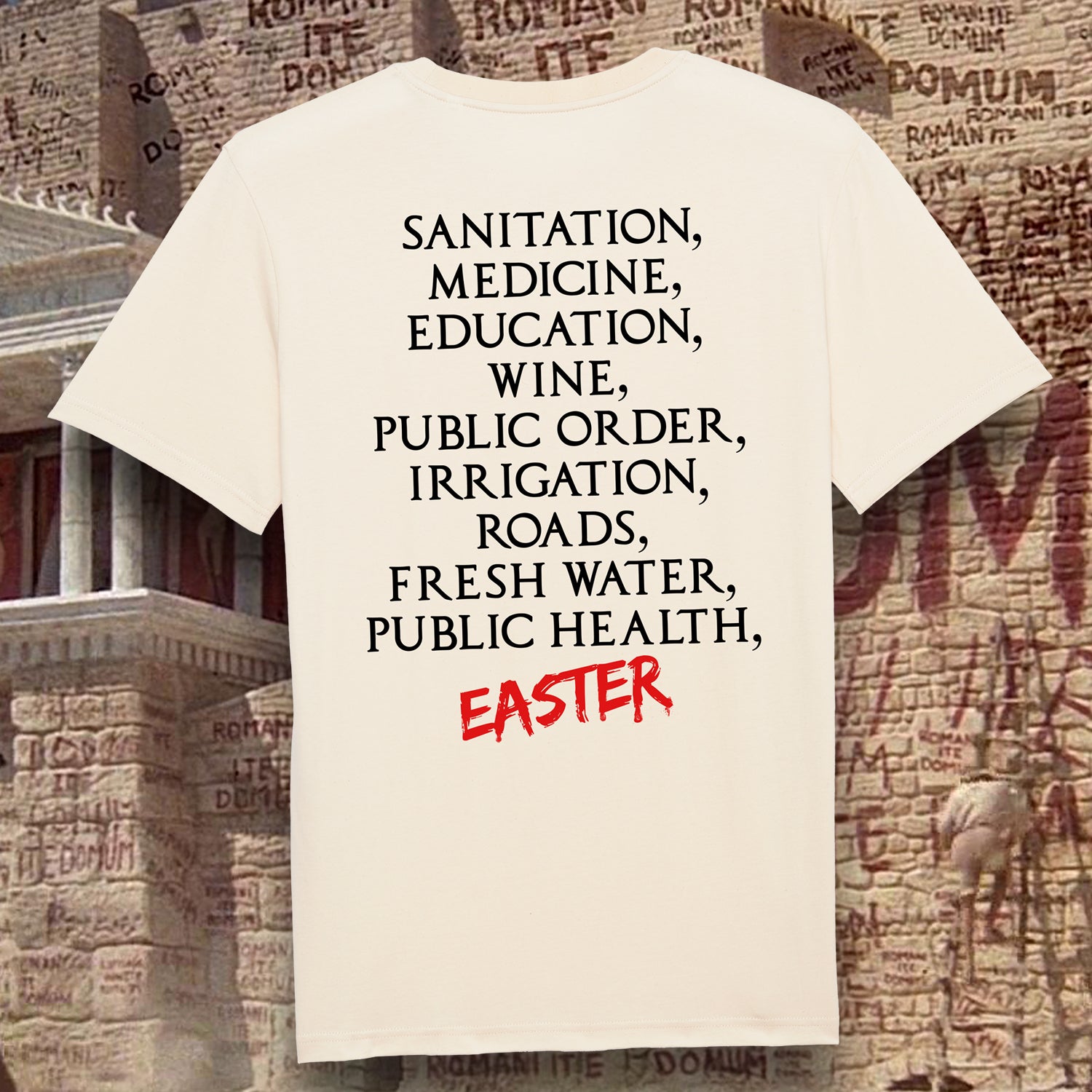 Monty Python - “What have the Romans ever done for us?” t-shirt