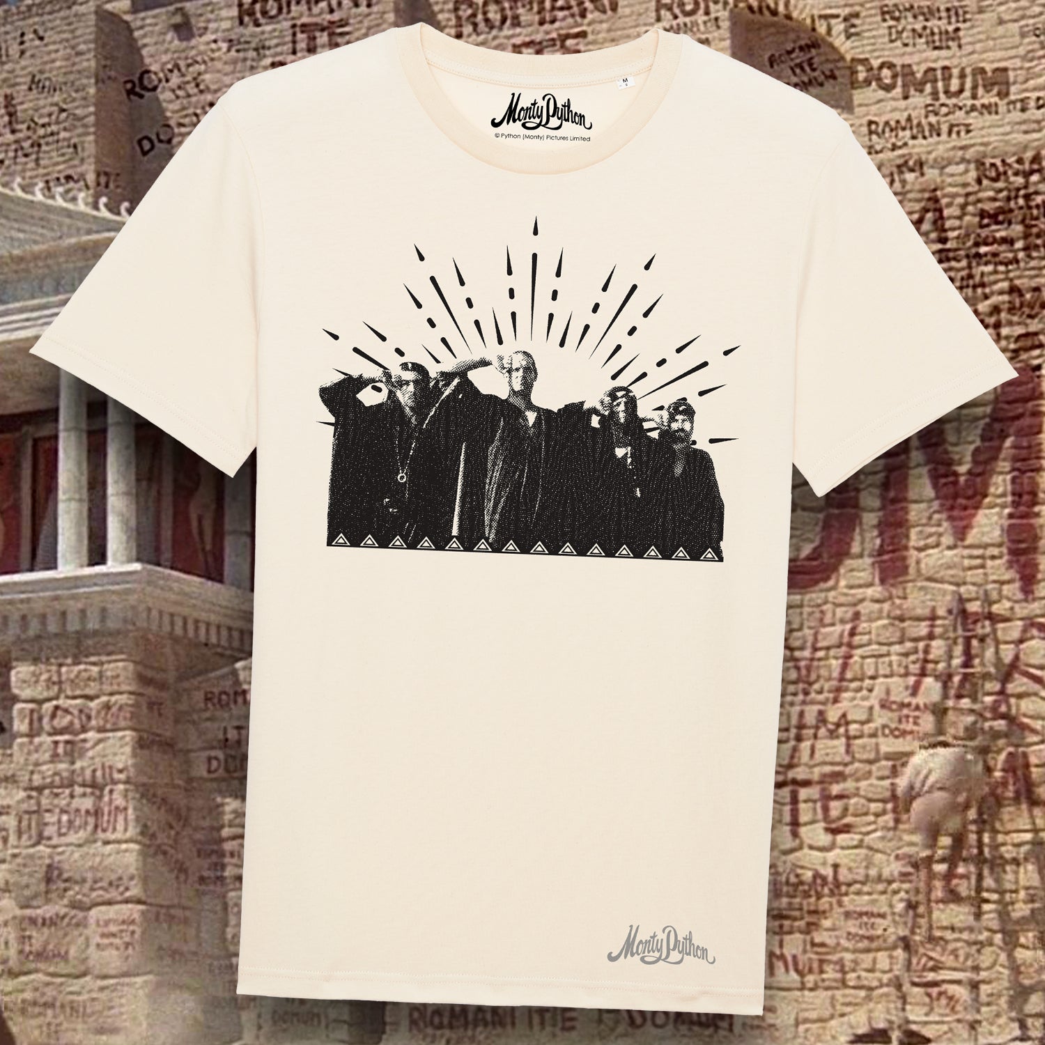 Monty Python - “What have the Romans ever done for us?” t-shirt